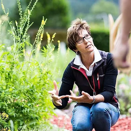 Hotel Traumhotel Liebes Rot-fluh